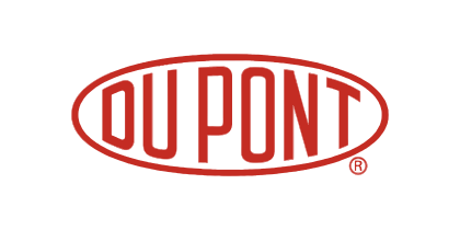 Dupint